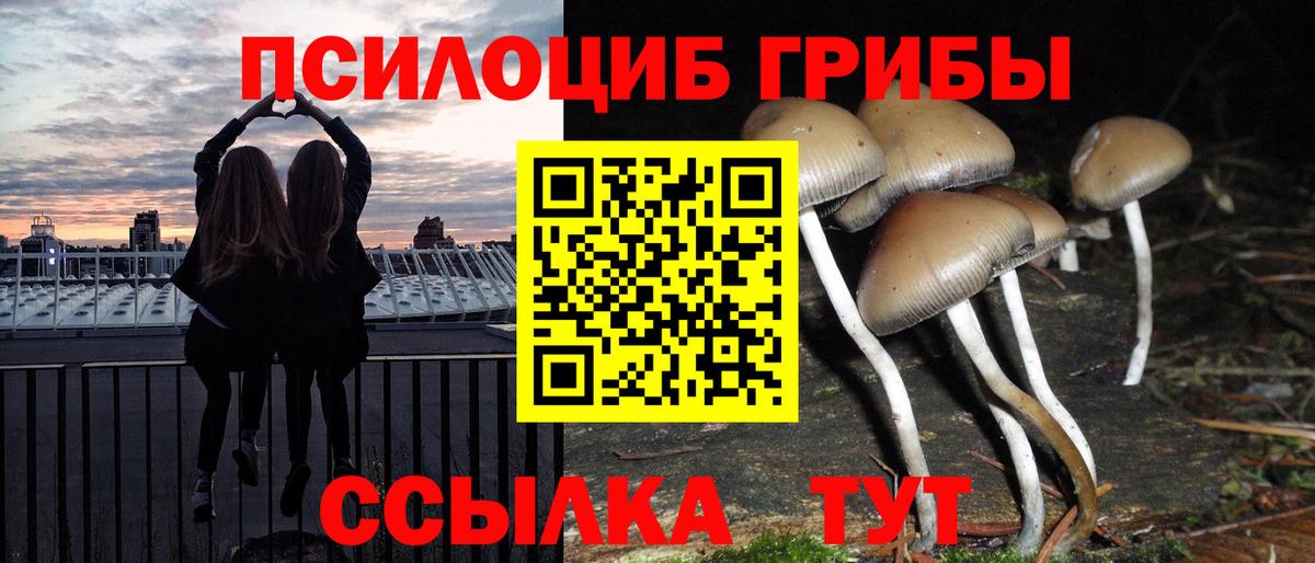 Жуковский  Псилоцибиновые грибы ЛСД  Вход с VPN 